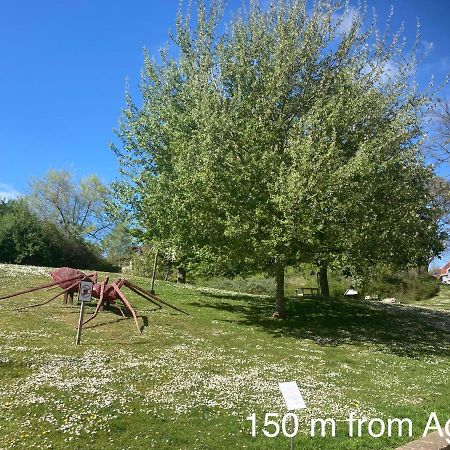 Agora De Panne Daire Dış mekan fotoğraf